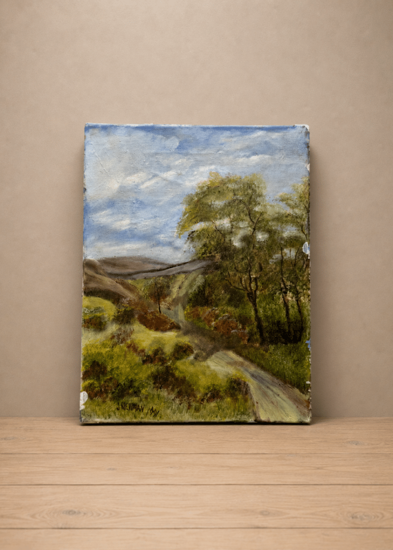 Countryside oil on canvas